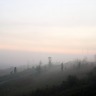Foggy Morning